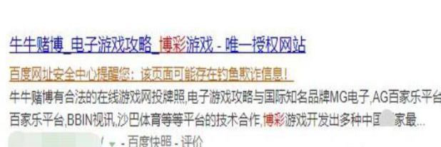 60f91e81d4d8c.png 網站服務器.png