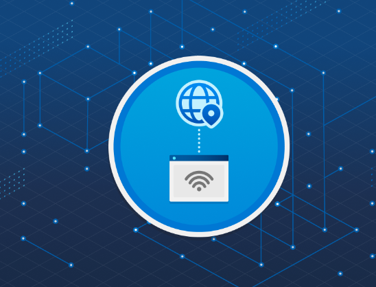 6576ac0f18b80.png 如何確認租用的服務器是否為原生IP?.png