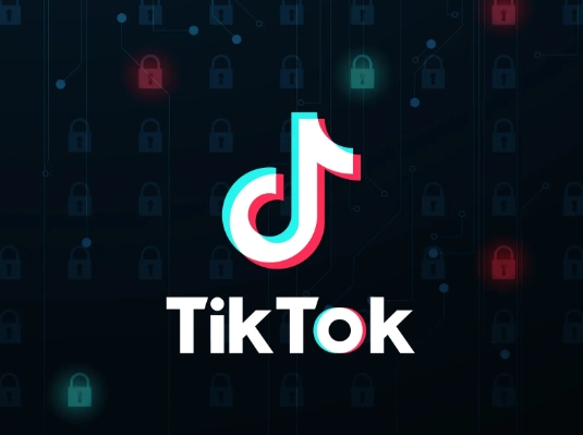 65e95e049e184.png tiktok專線網絡搭建的詳細流程.png