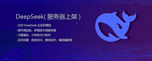 DeepSeek 服務器上架